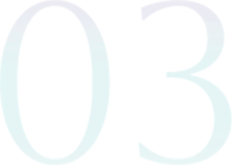 03